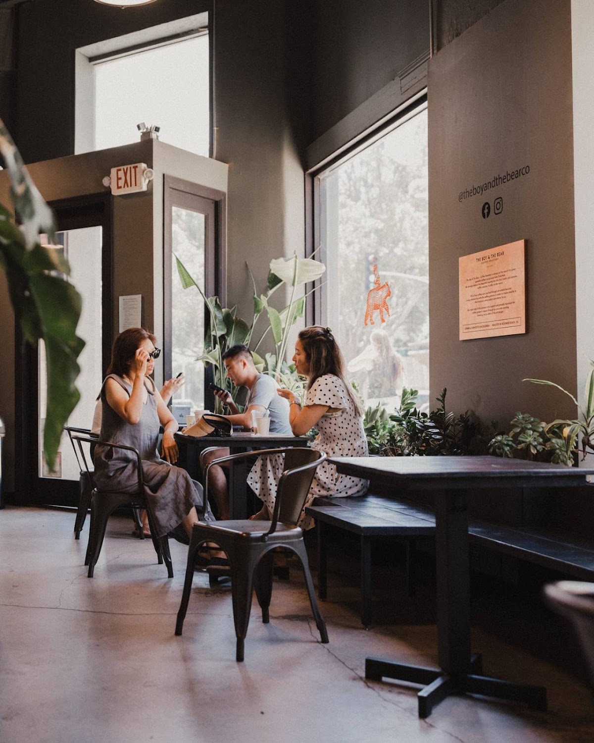 The Boy & The Bear - Coffee Roastery