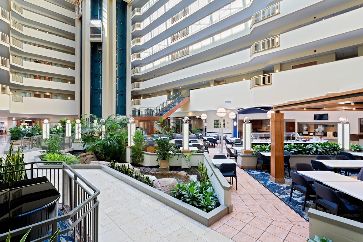 Embassy Suites by Hilton Tampa USF Near Busch Gardens