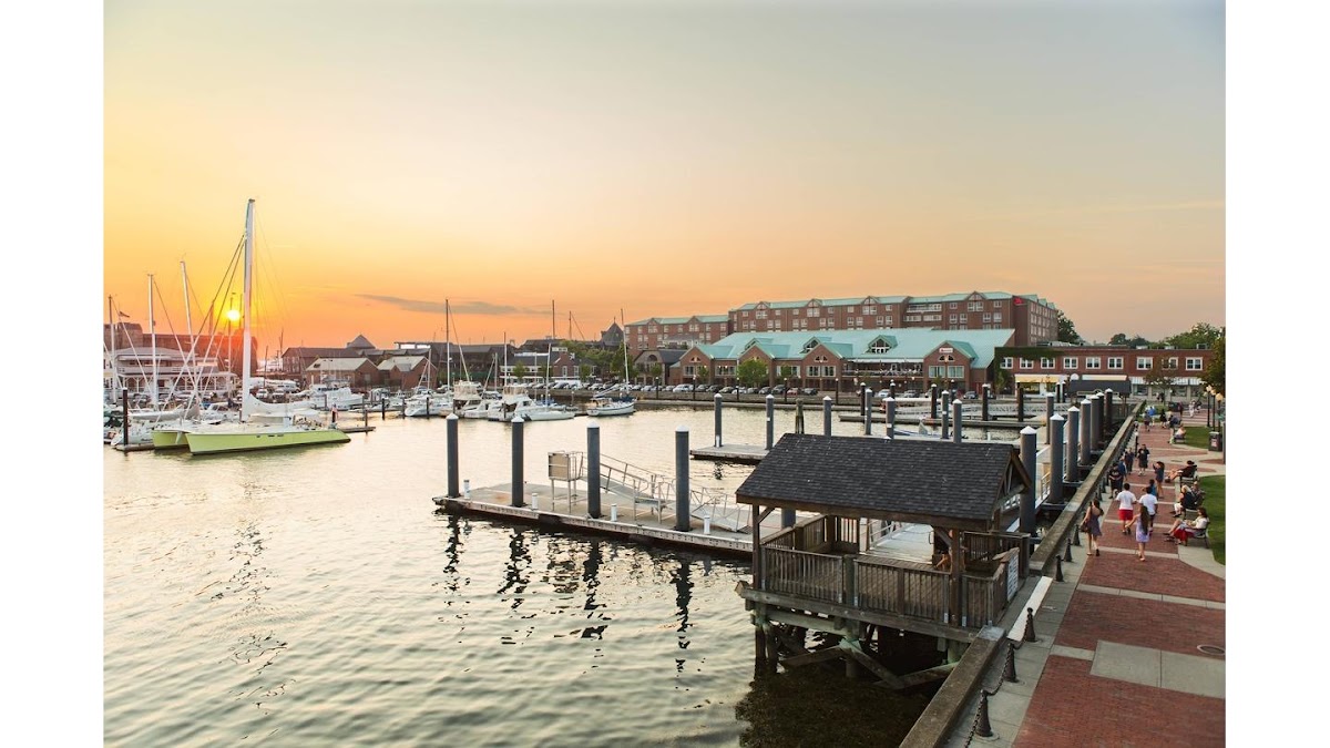 Newport Marriott Hotel & Spa