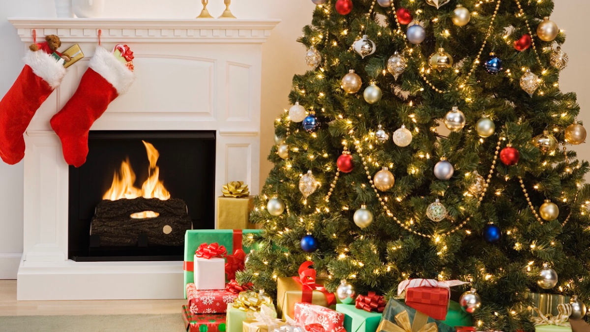 AA Christmas Trees