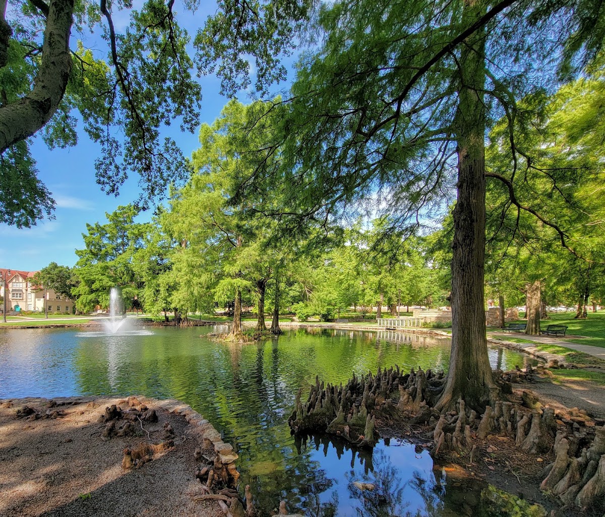 Theta Pond
