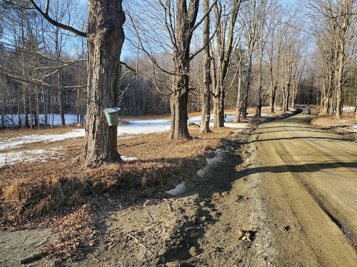 Hopkins Memorial Forest