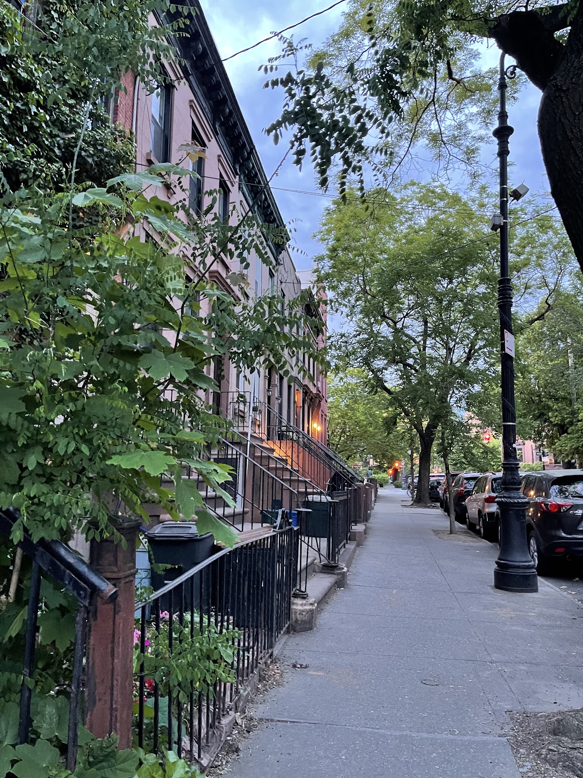 Carroll Gardens