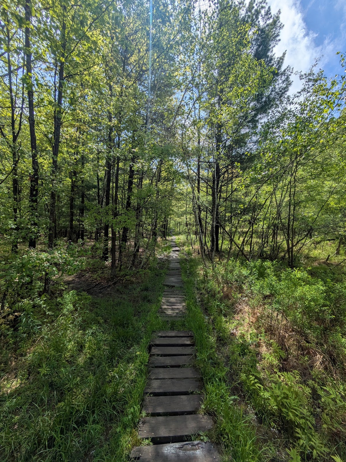 Binghamton University Nature Preserve