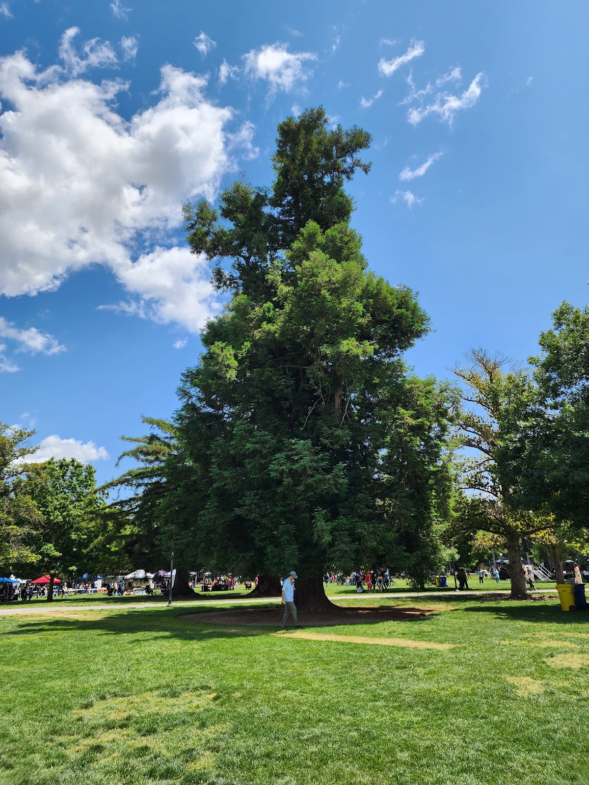 Memorial Union Quad