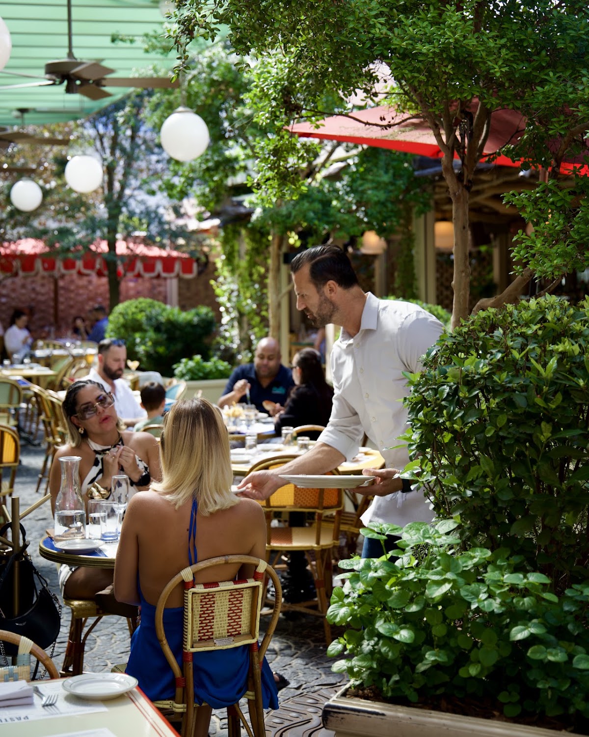 Pastis Miami