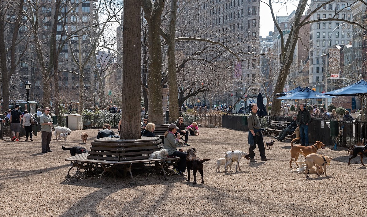 NYC Dog Parks 