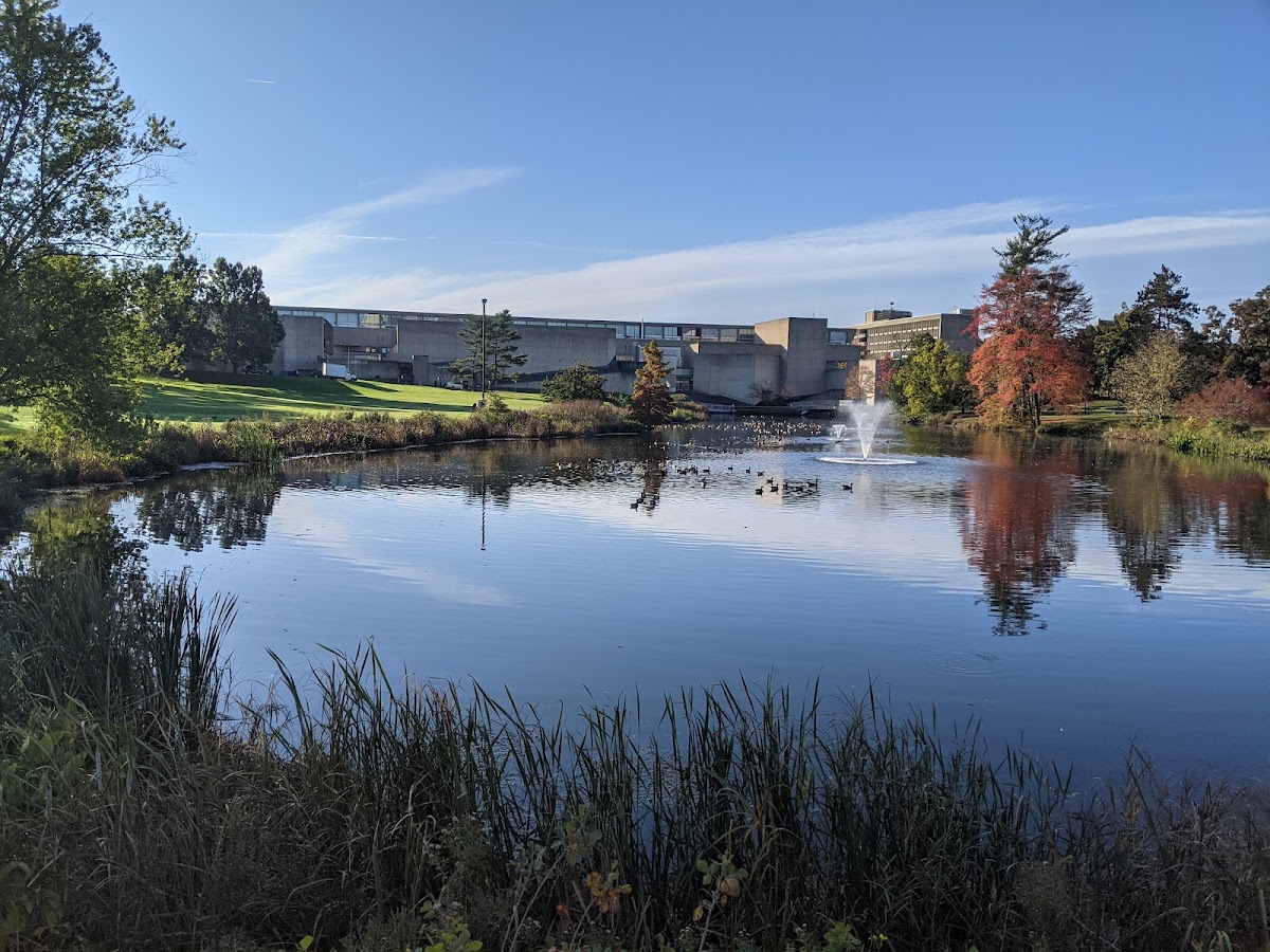 Campus Pond