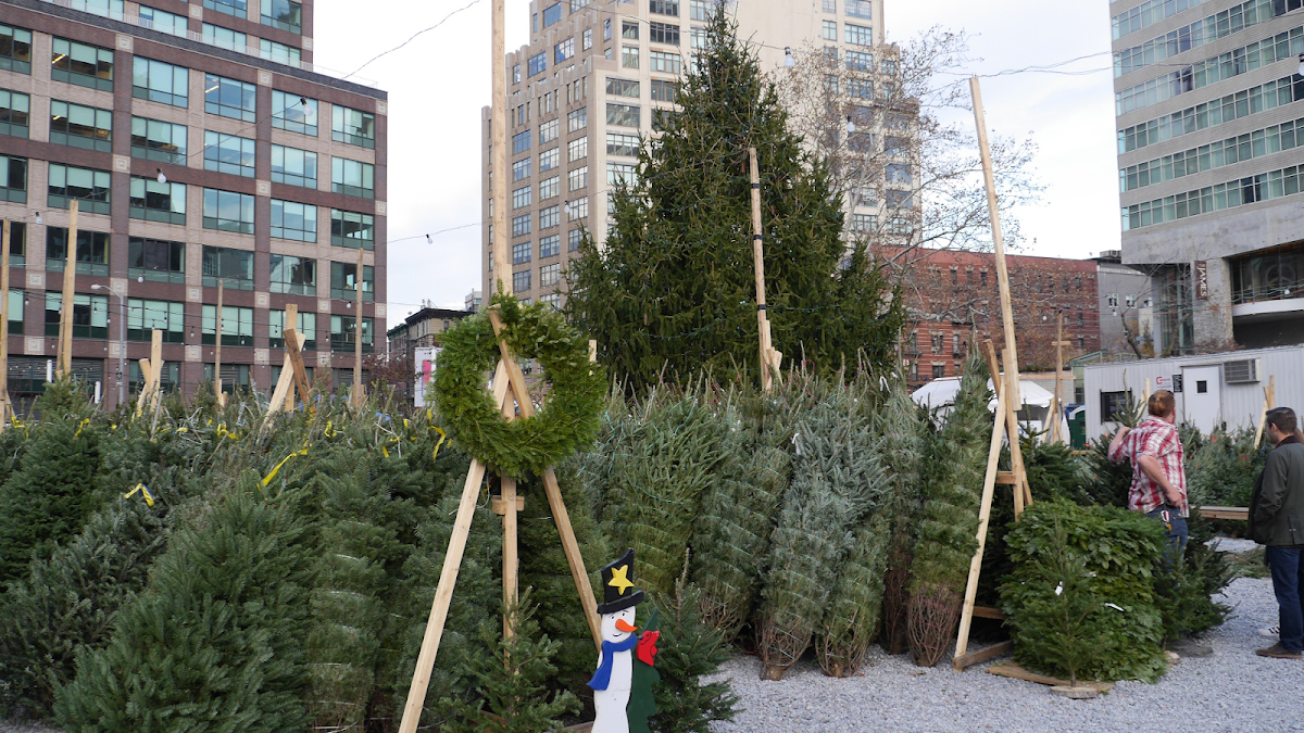 Best Places to Buy a Christmas Tree in NYC (2026)