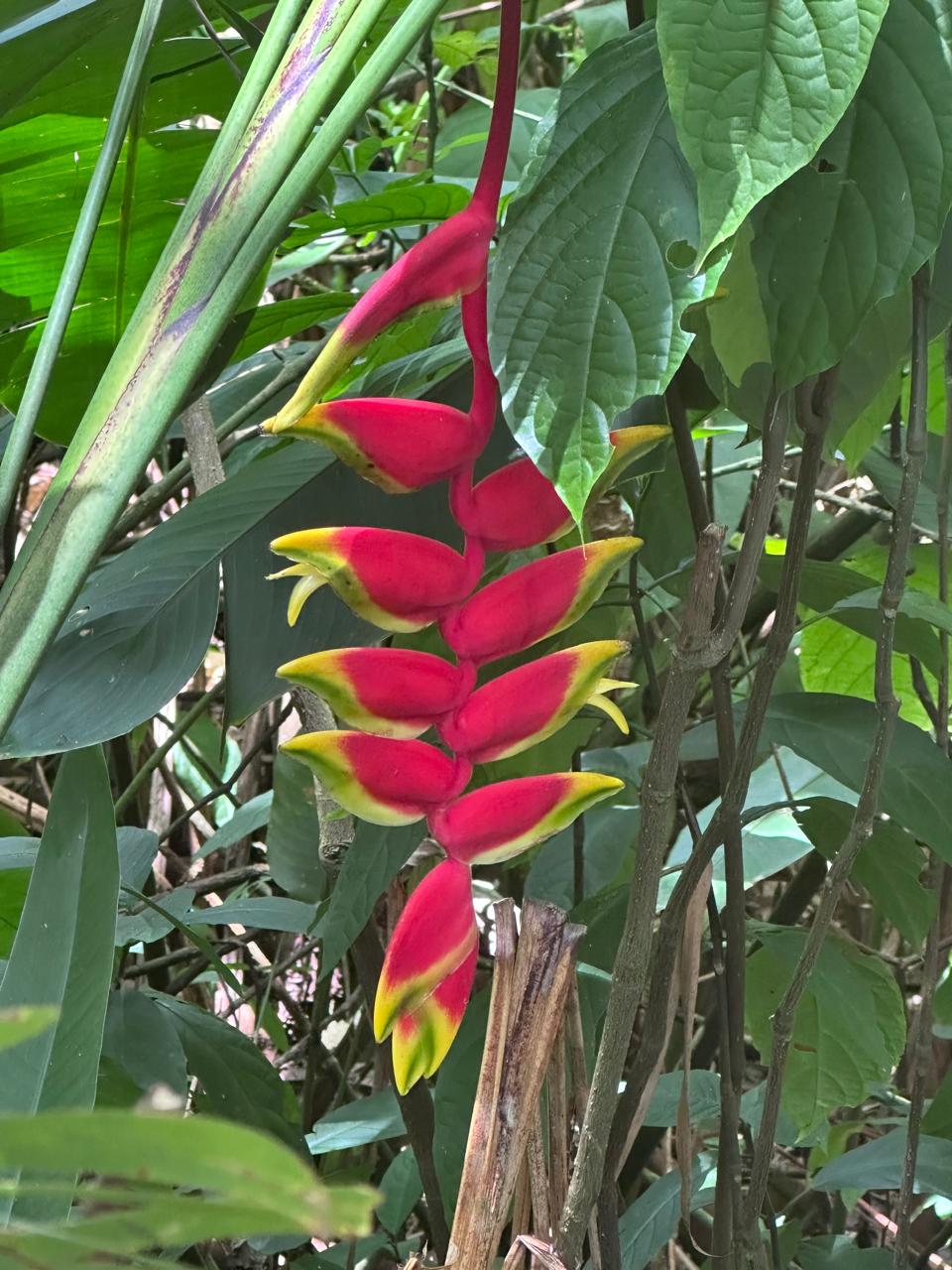 Trinidad and Tobago Adventure