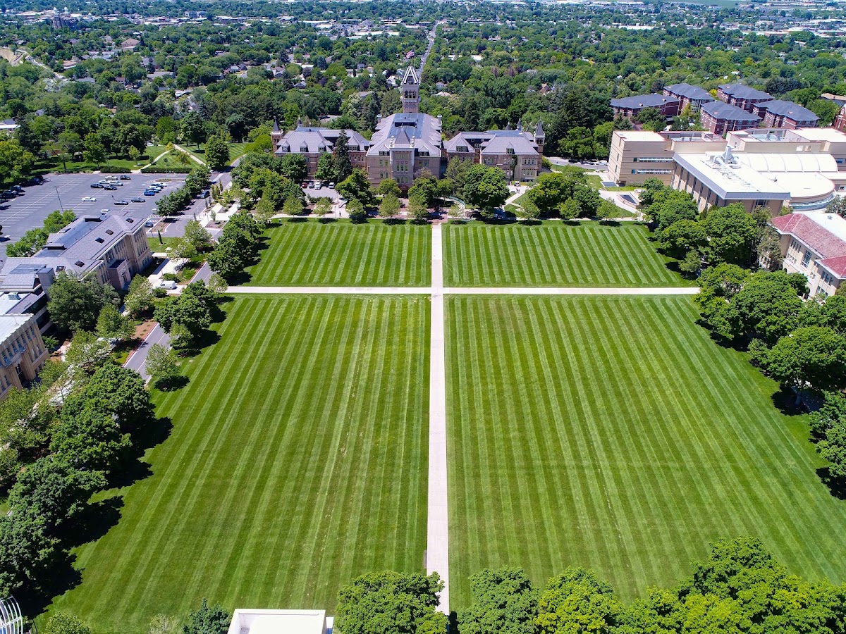 The Quad