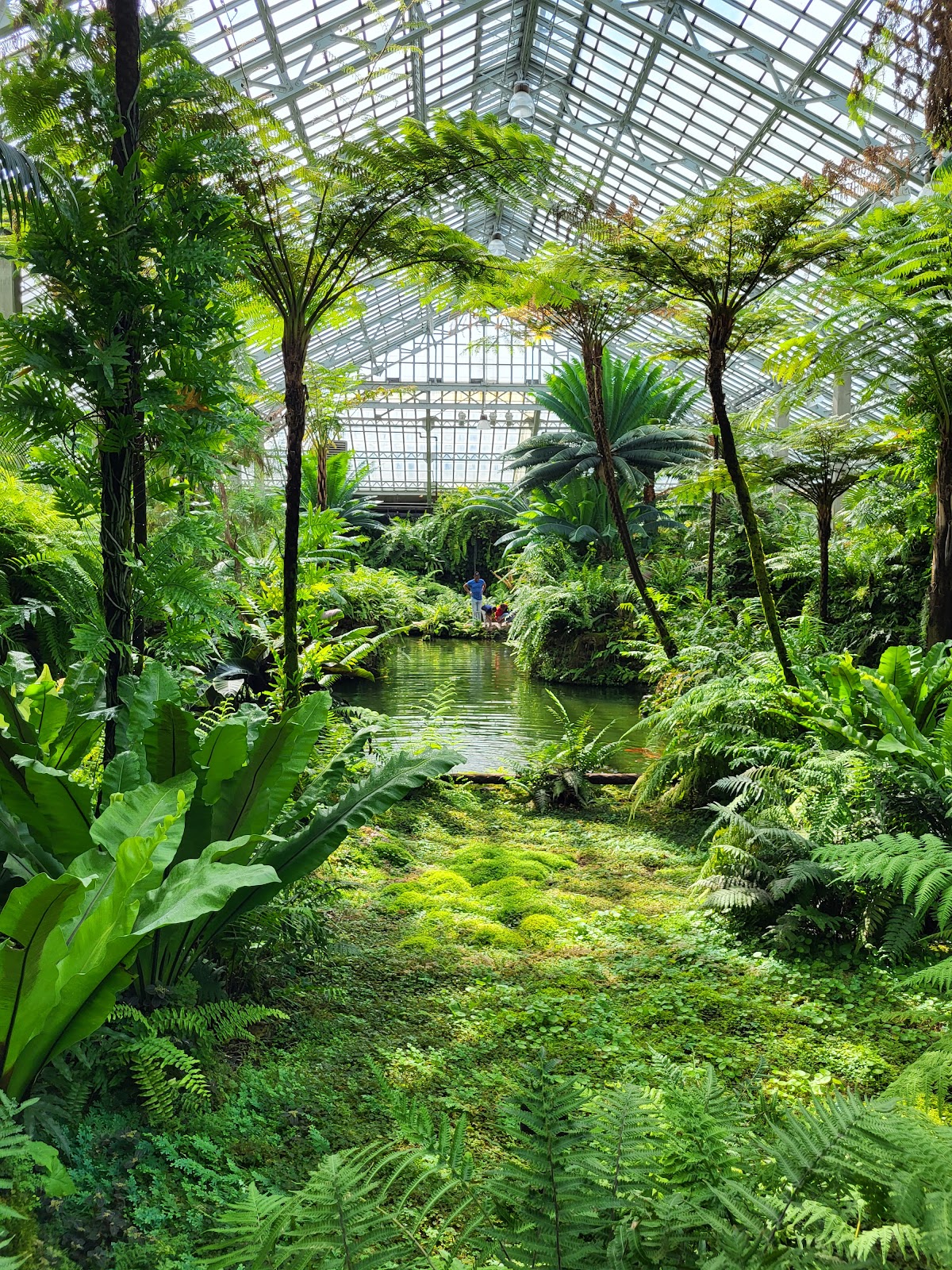Garfield Park Conservatory — a lagoon and tropical palms under the historic glass roof