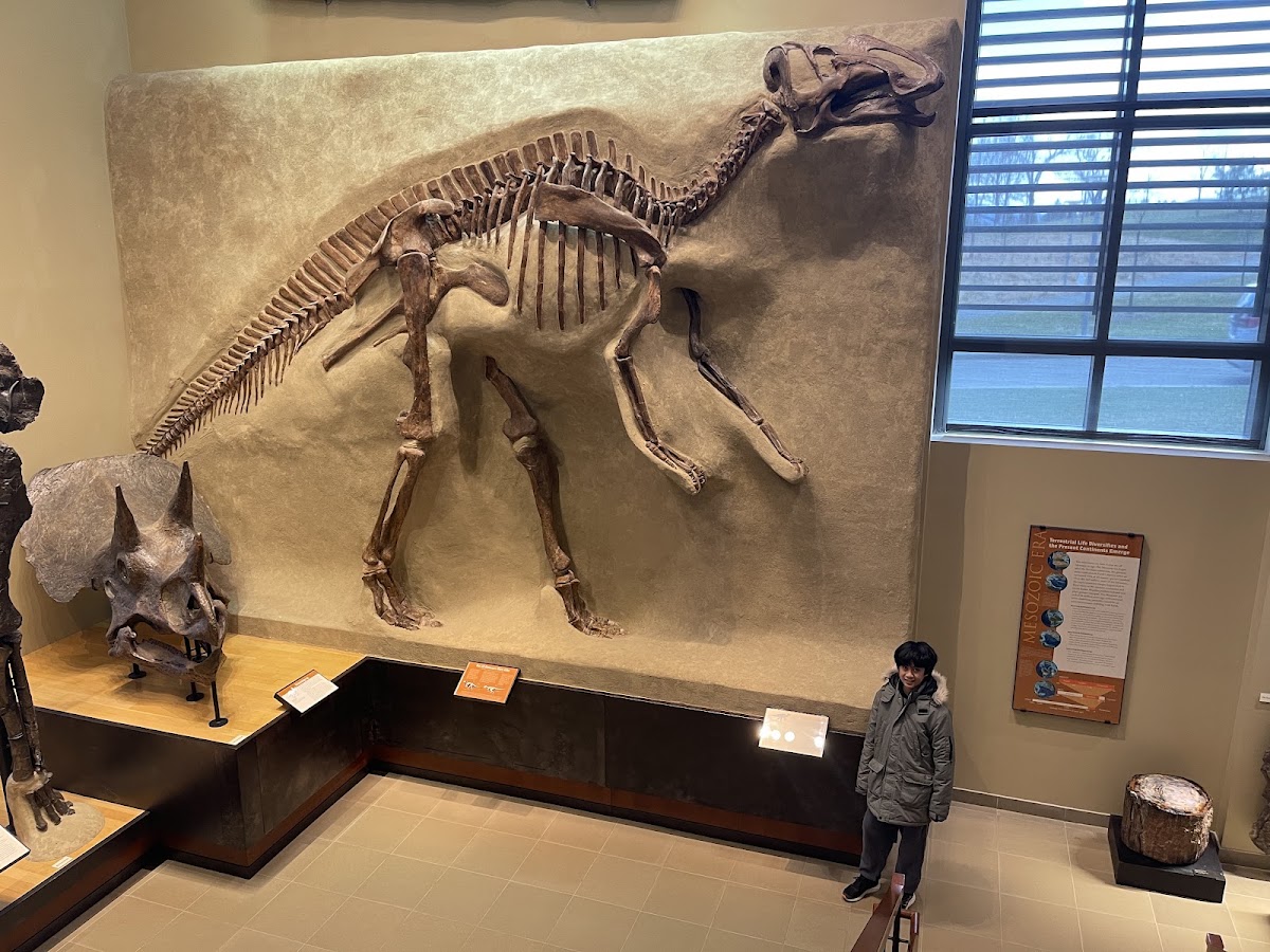 Beneski Museum of Natural History