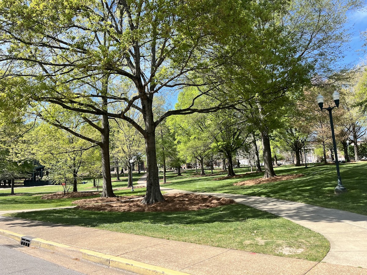 University of Mississippi (Ole Miss) Guide: Where to Eat, Drink & Stay in Oxford