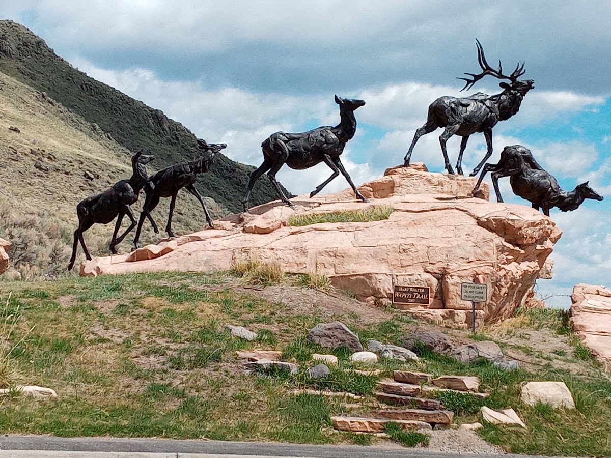 National Museum of Wildlife Art