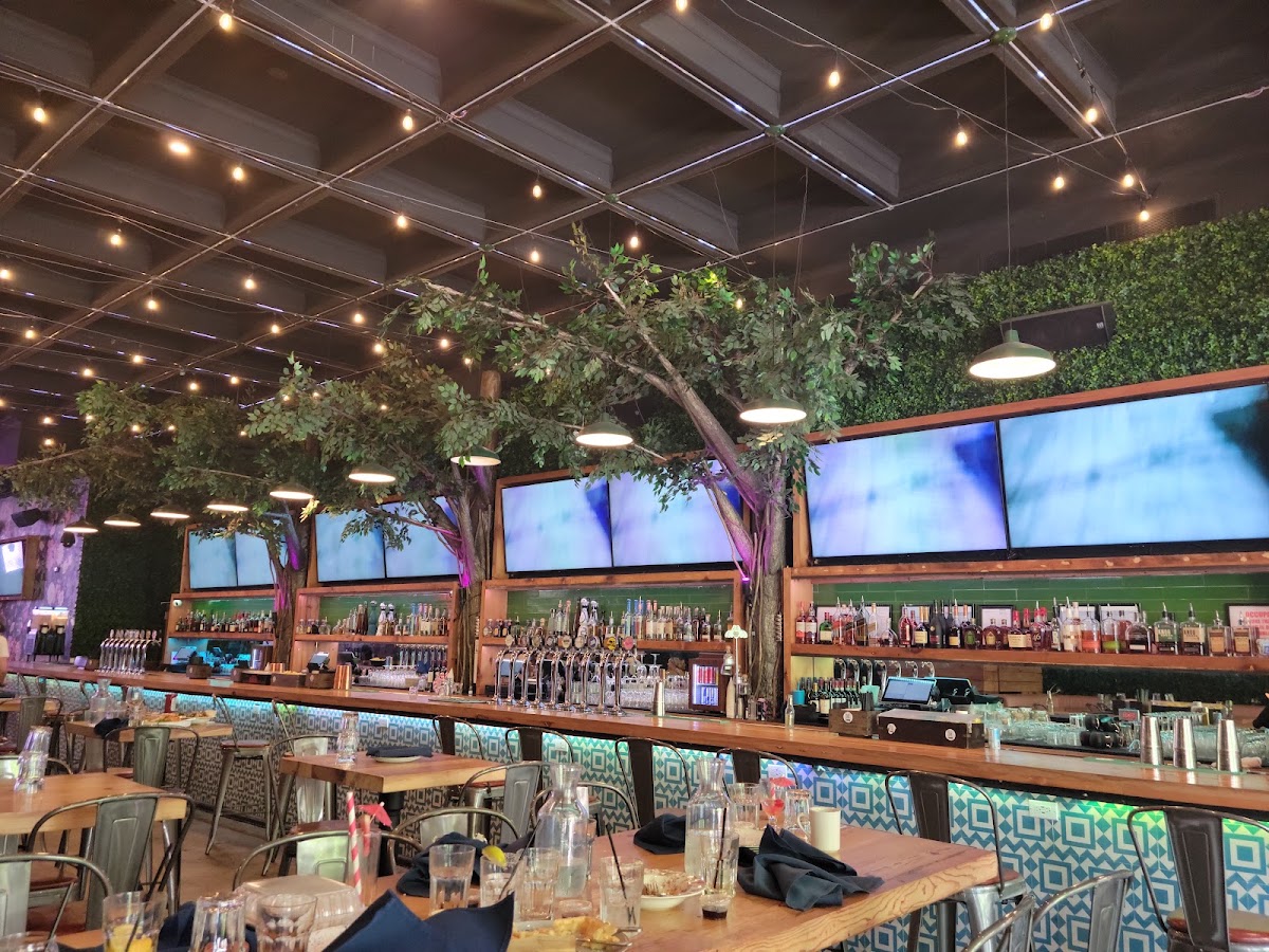 Tree House Chicago