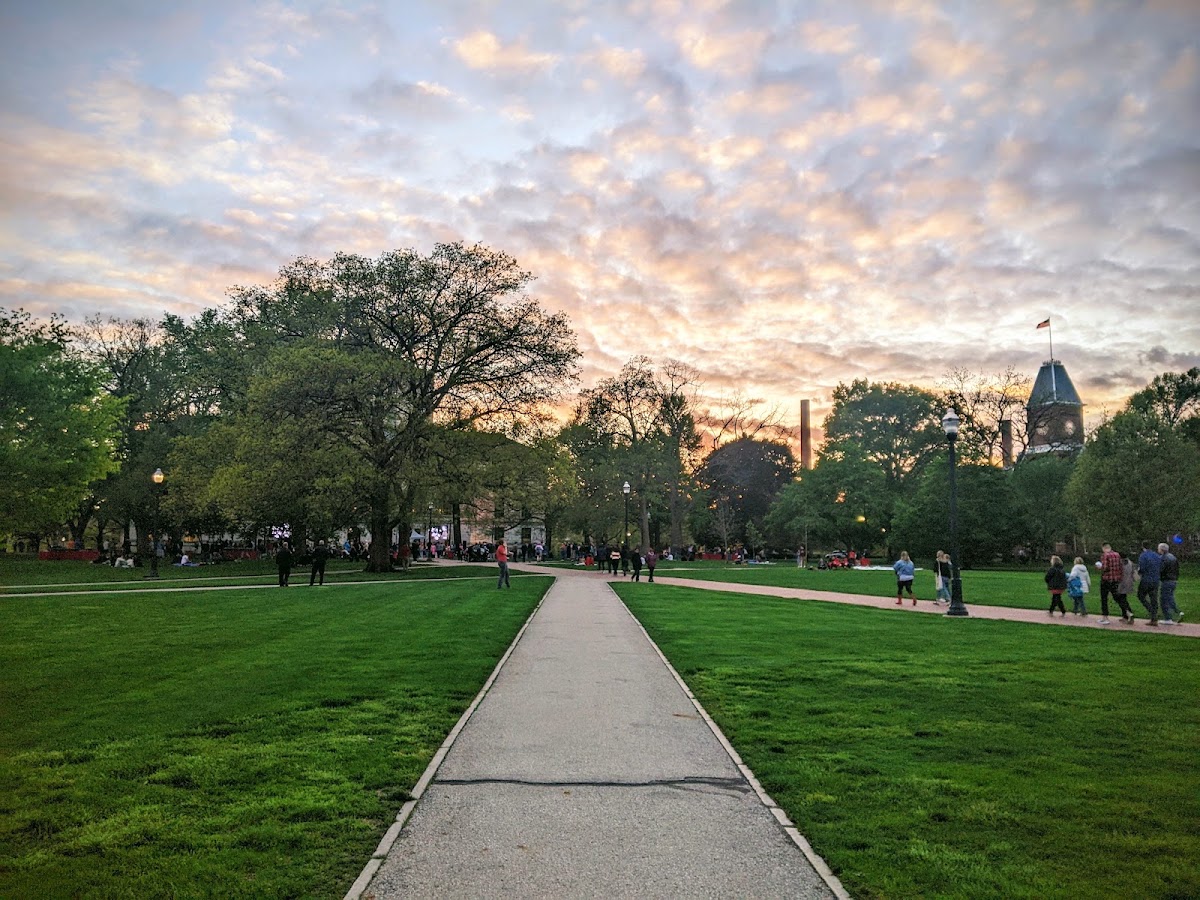 The Oval