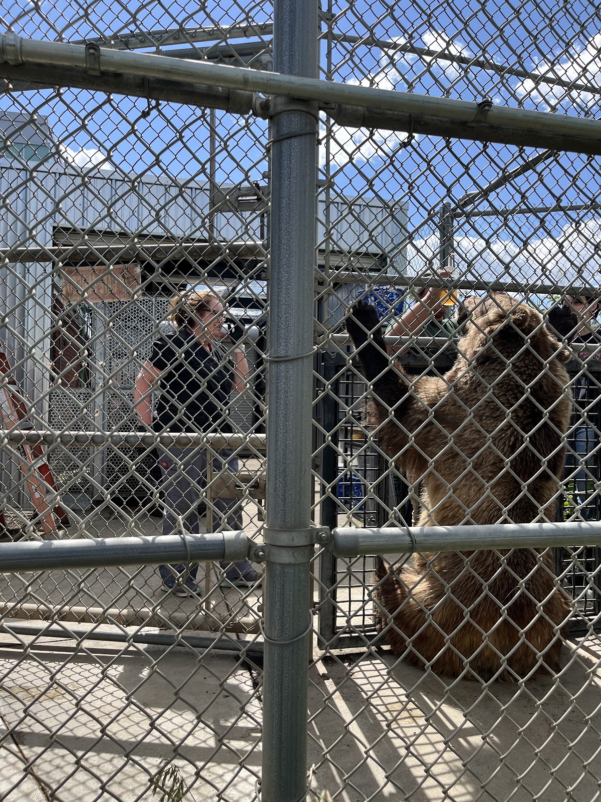 WSU Bear Center