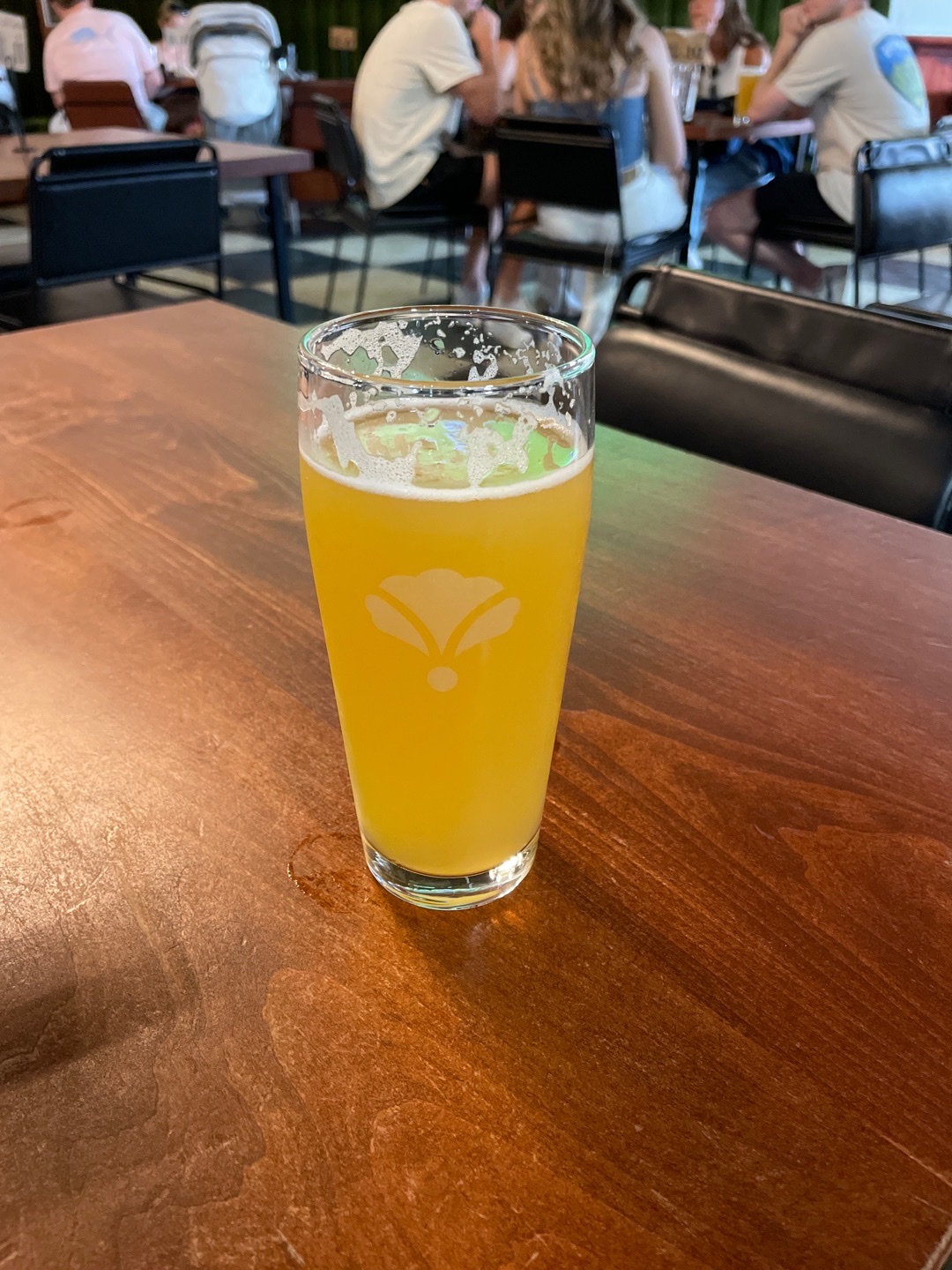 Bearded Iris (Germantown)