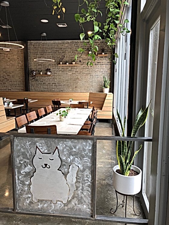 Bearcat Café (CBD)