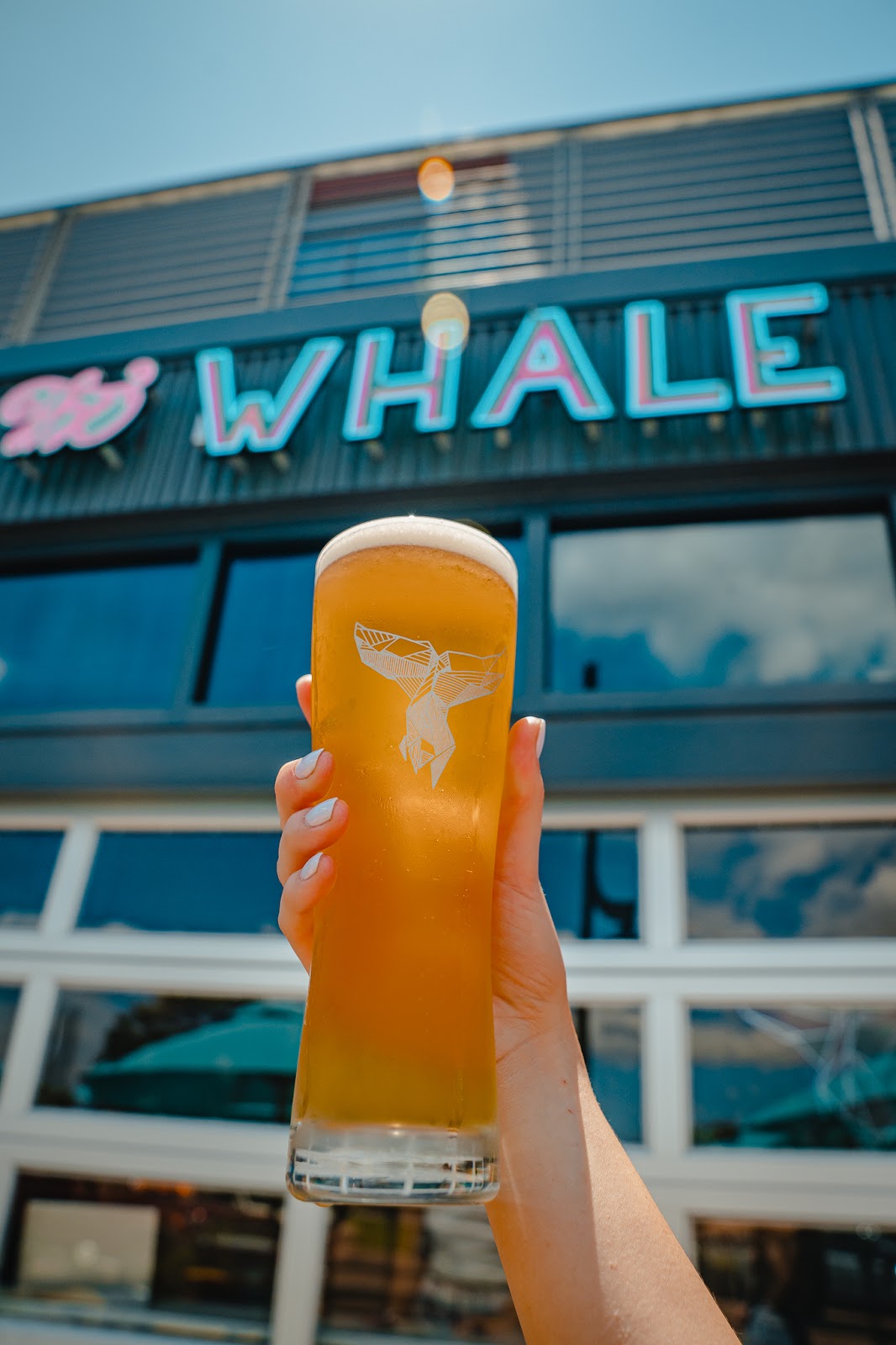 The Whale