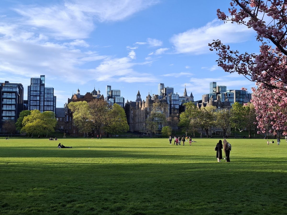 The Meadows