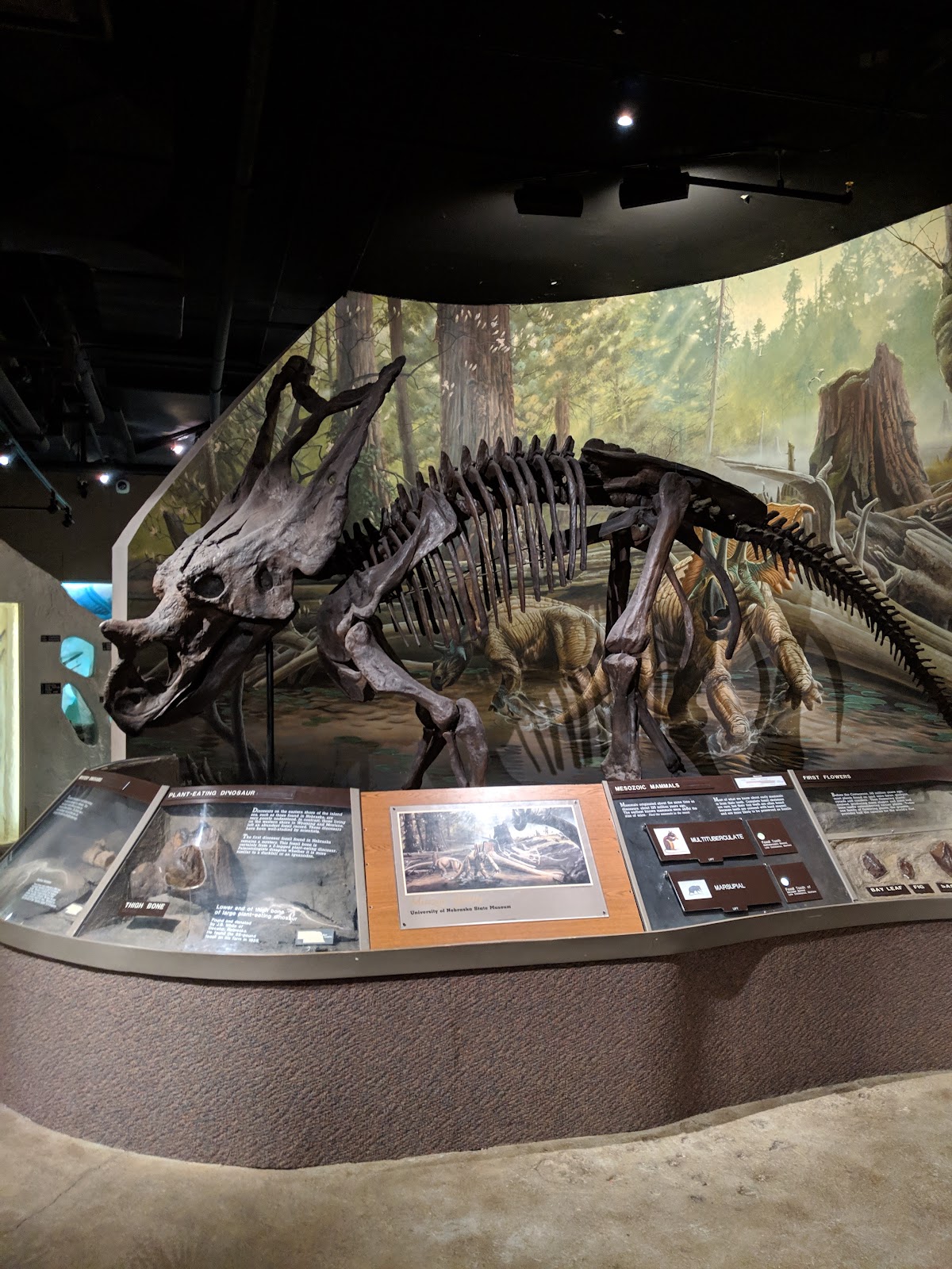 Morrill Hall