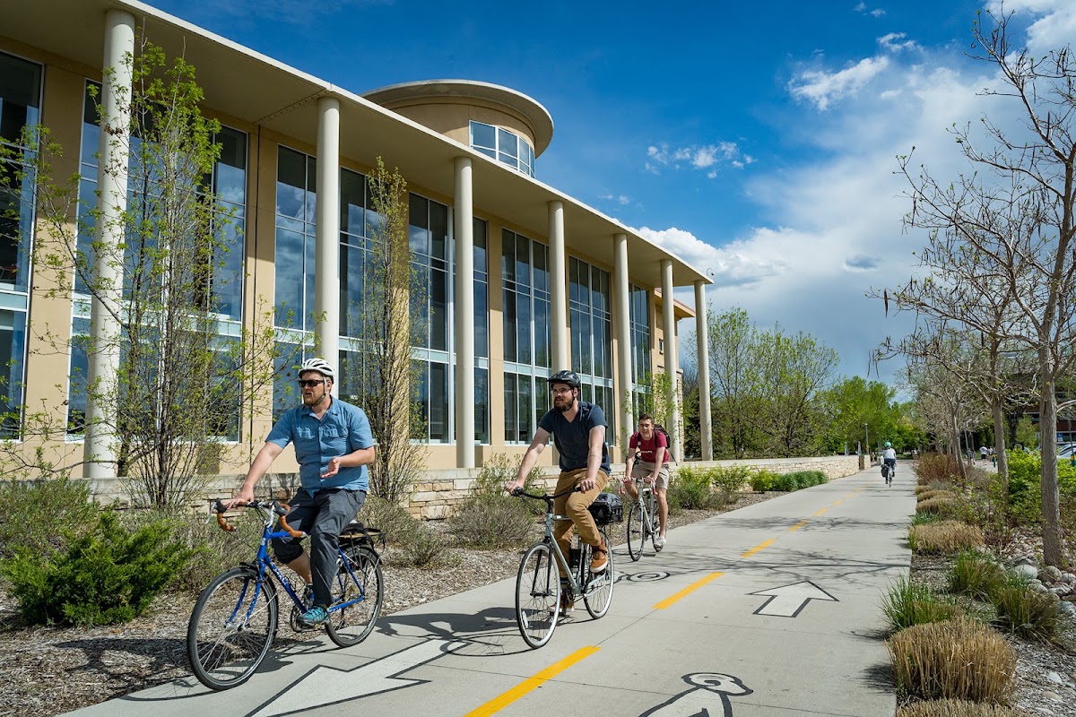 CSU Libraries - Morgan Library