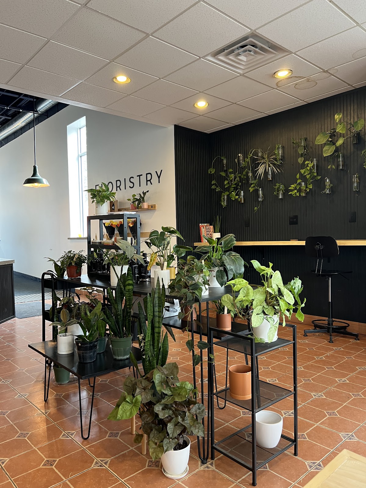 Botanist Coffeehouse