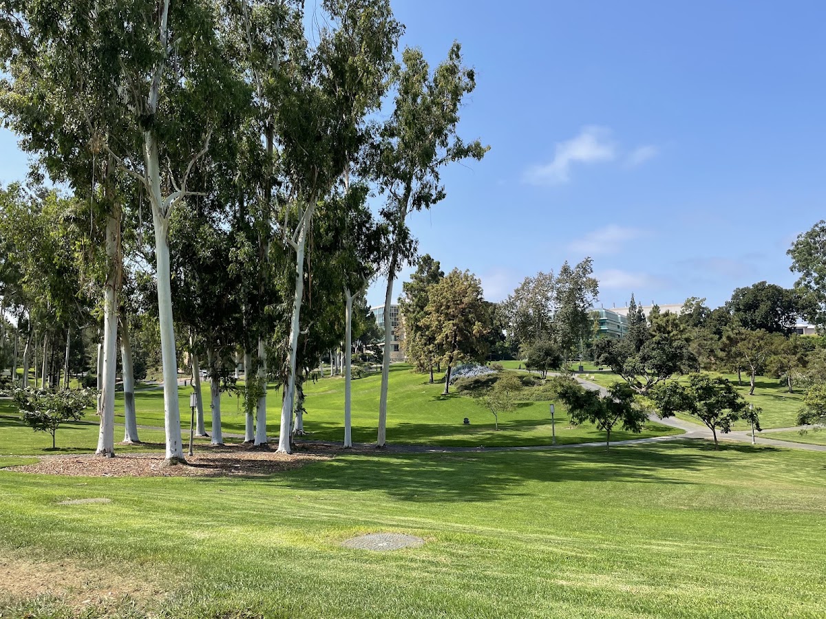 Aldrich Park