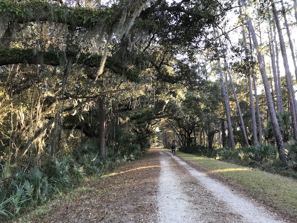 Pinckney Island National Wildlife Refuge