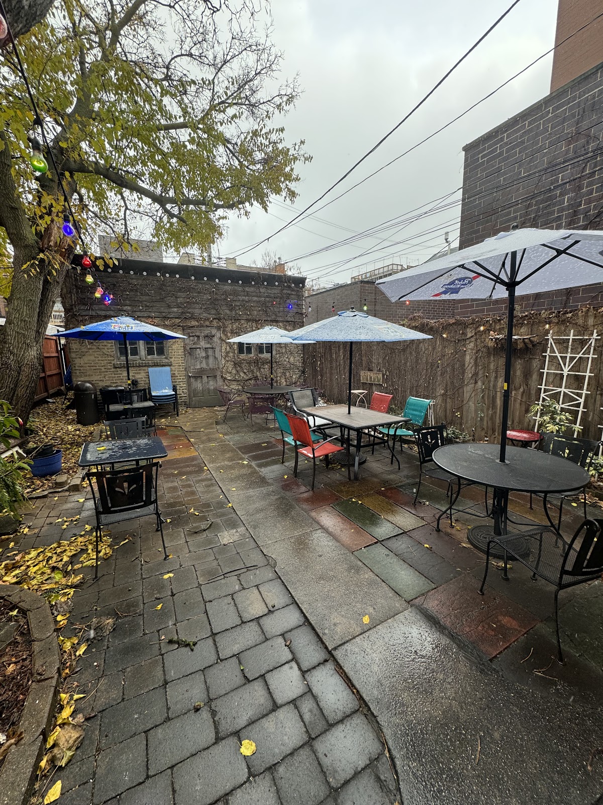 Ten Cat Tavern