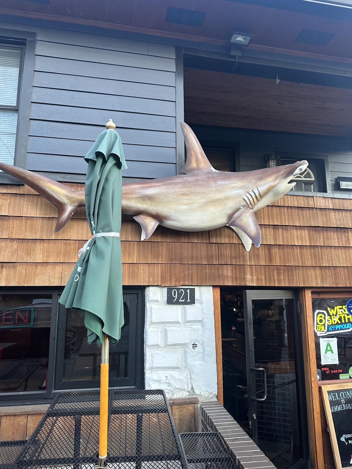 Hammerheads