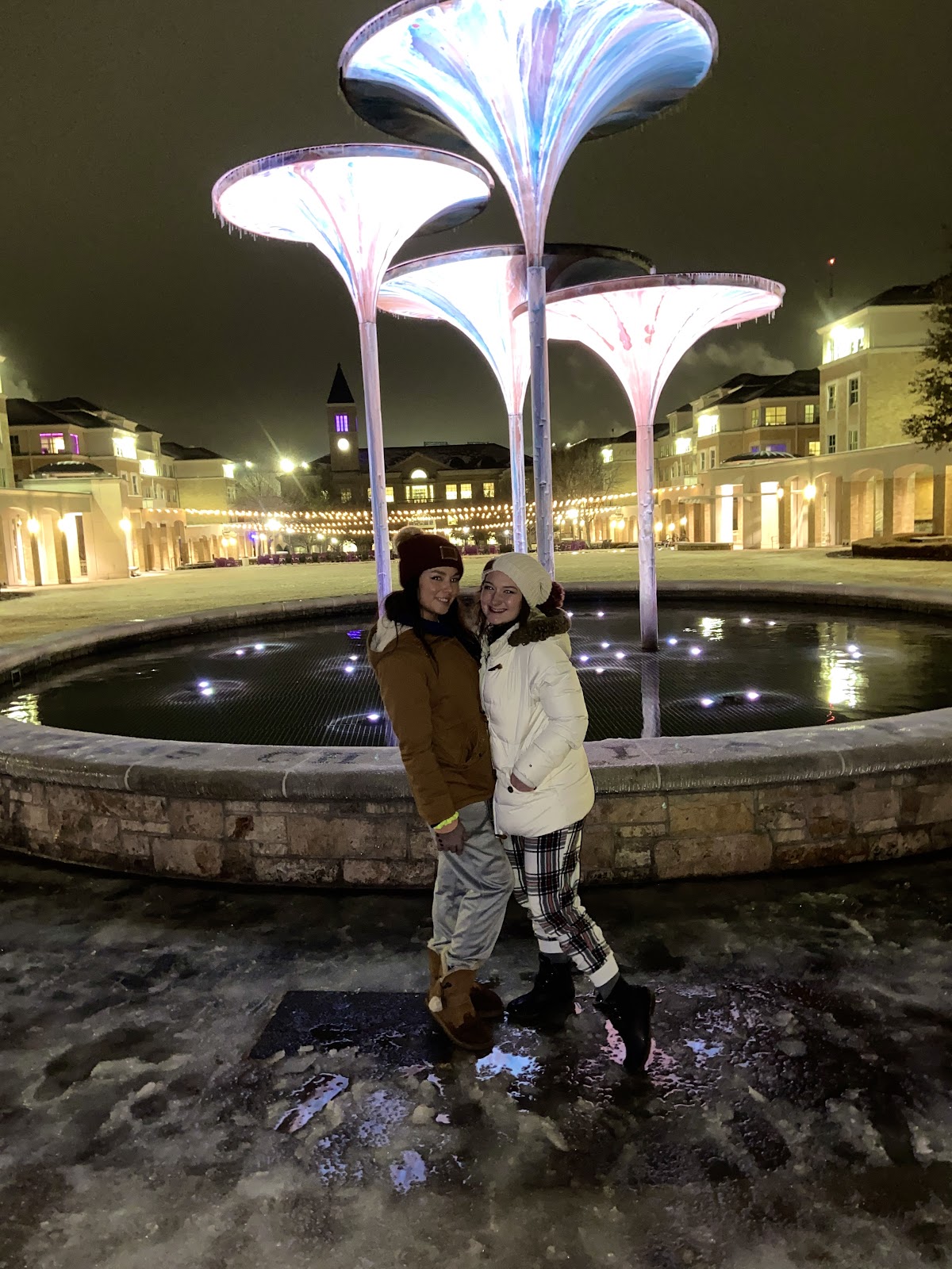 Frog Fountain