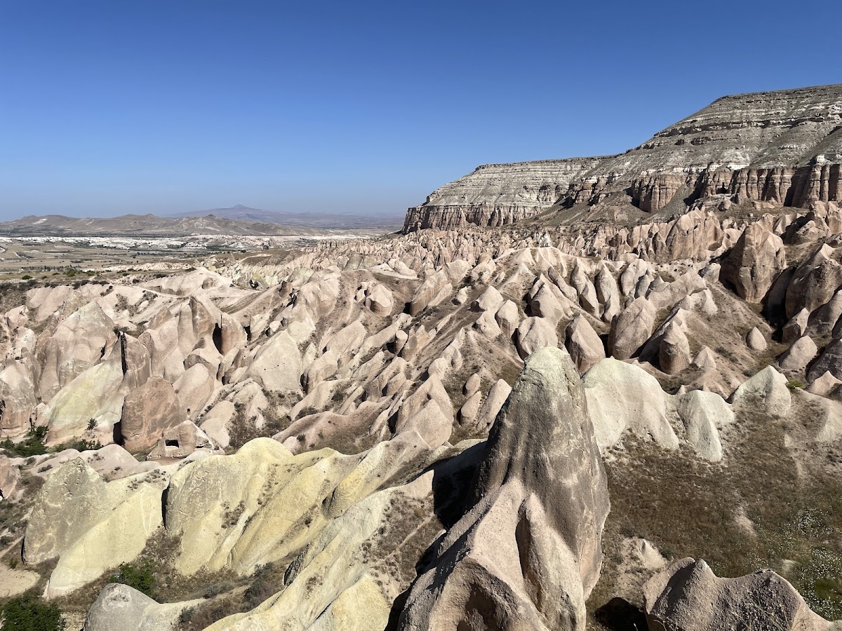 Rose Valley