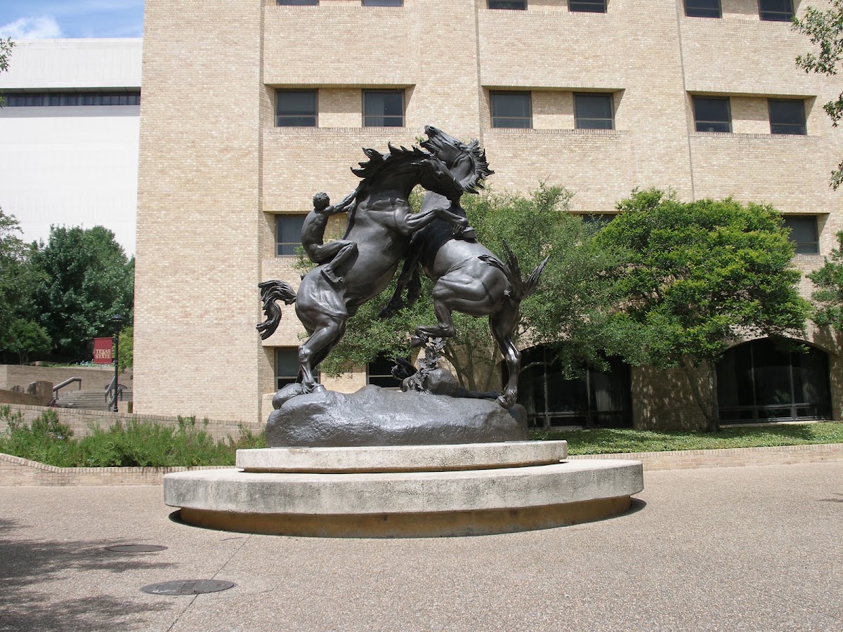 Fighting Stallions Statue