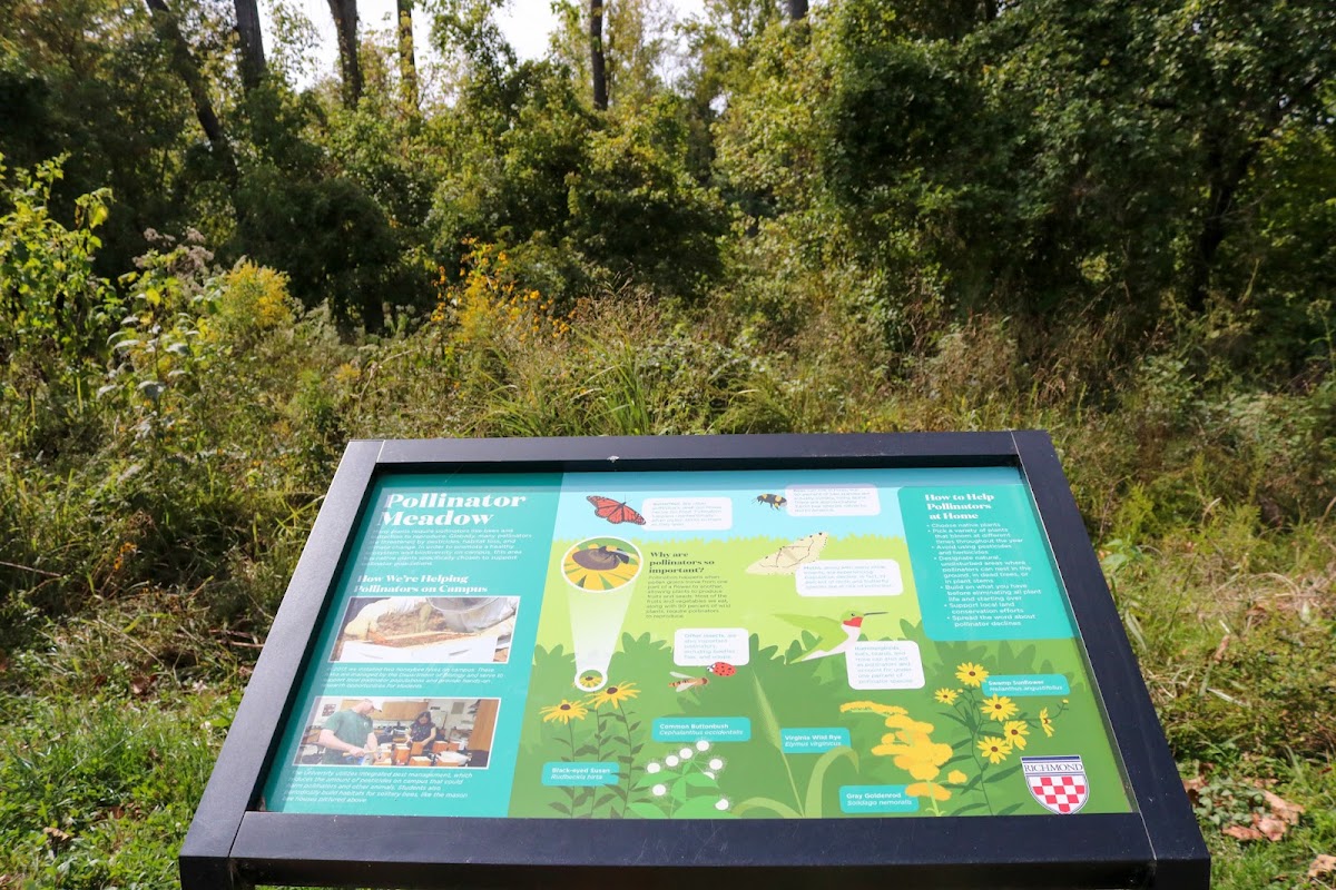 The Eco-Corridor Entrance