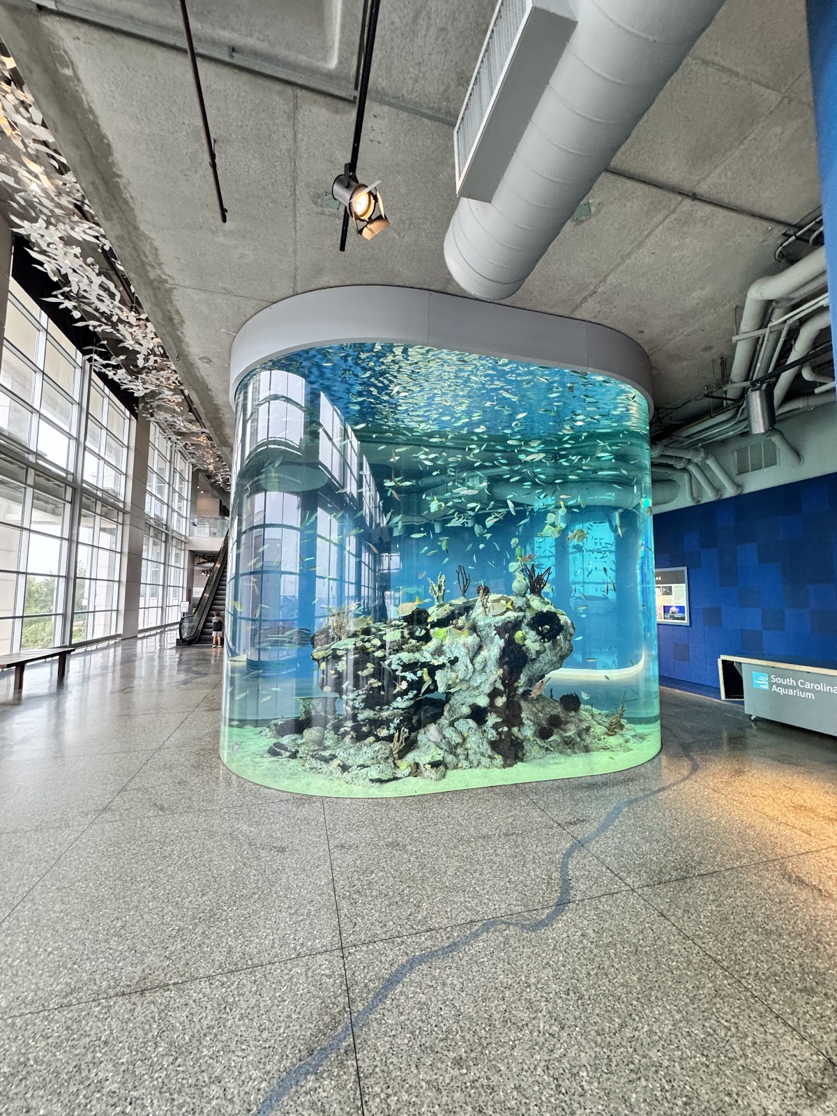 Aquarium Aglow