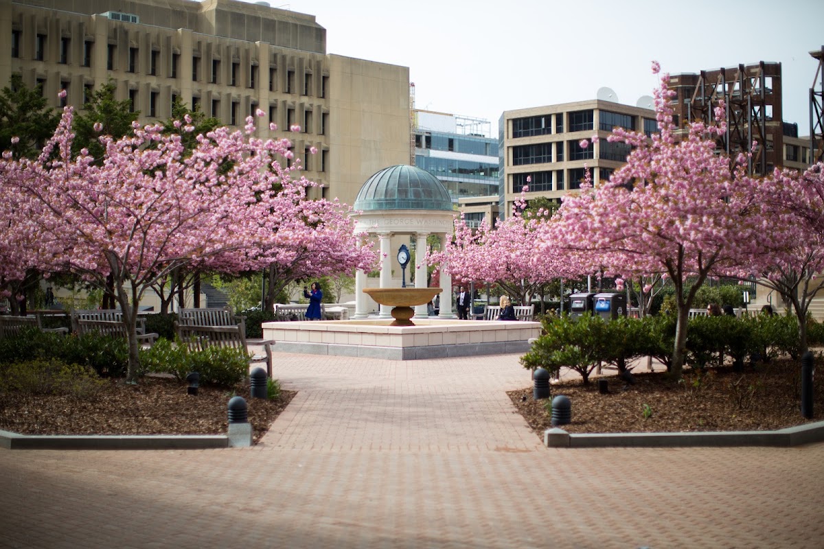 The George Washington University