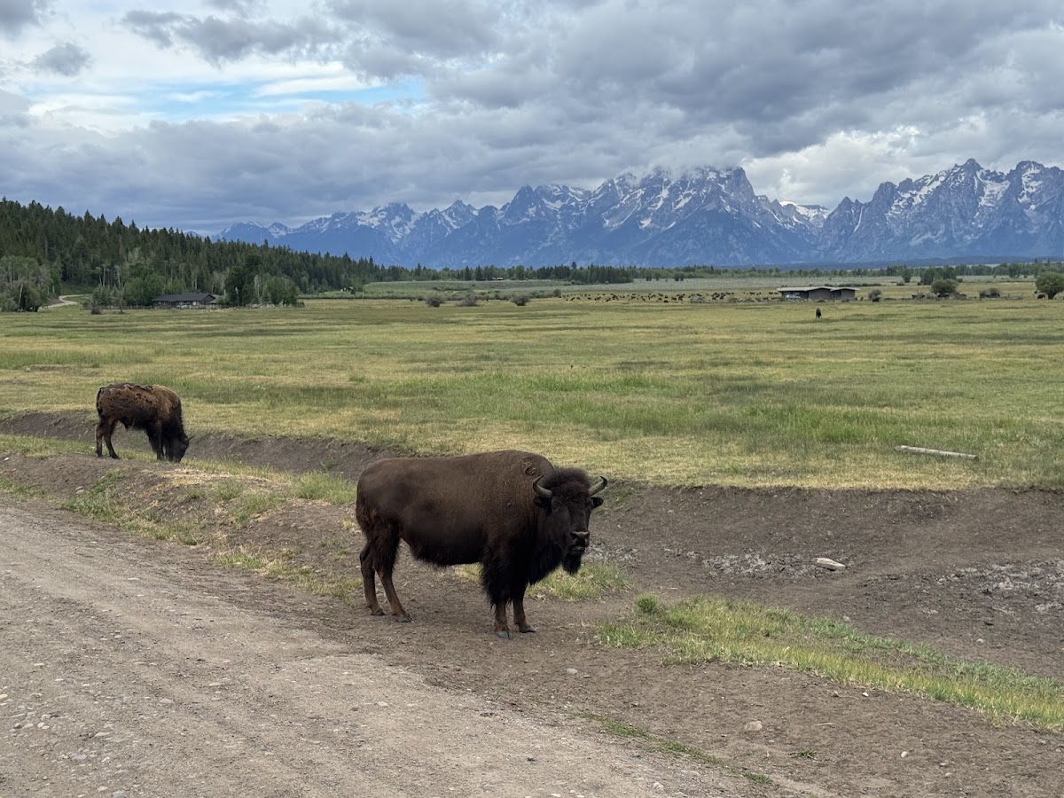 Jackson Hole EcoTour Adventures