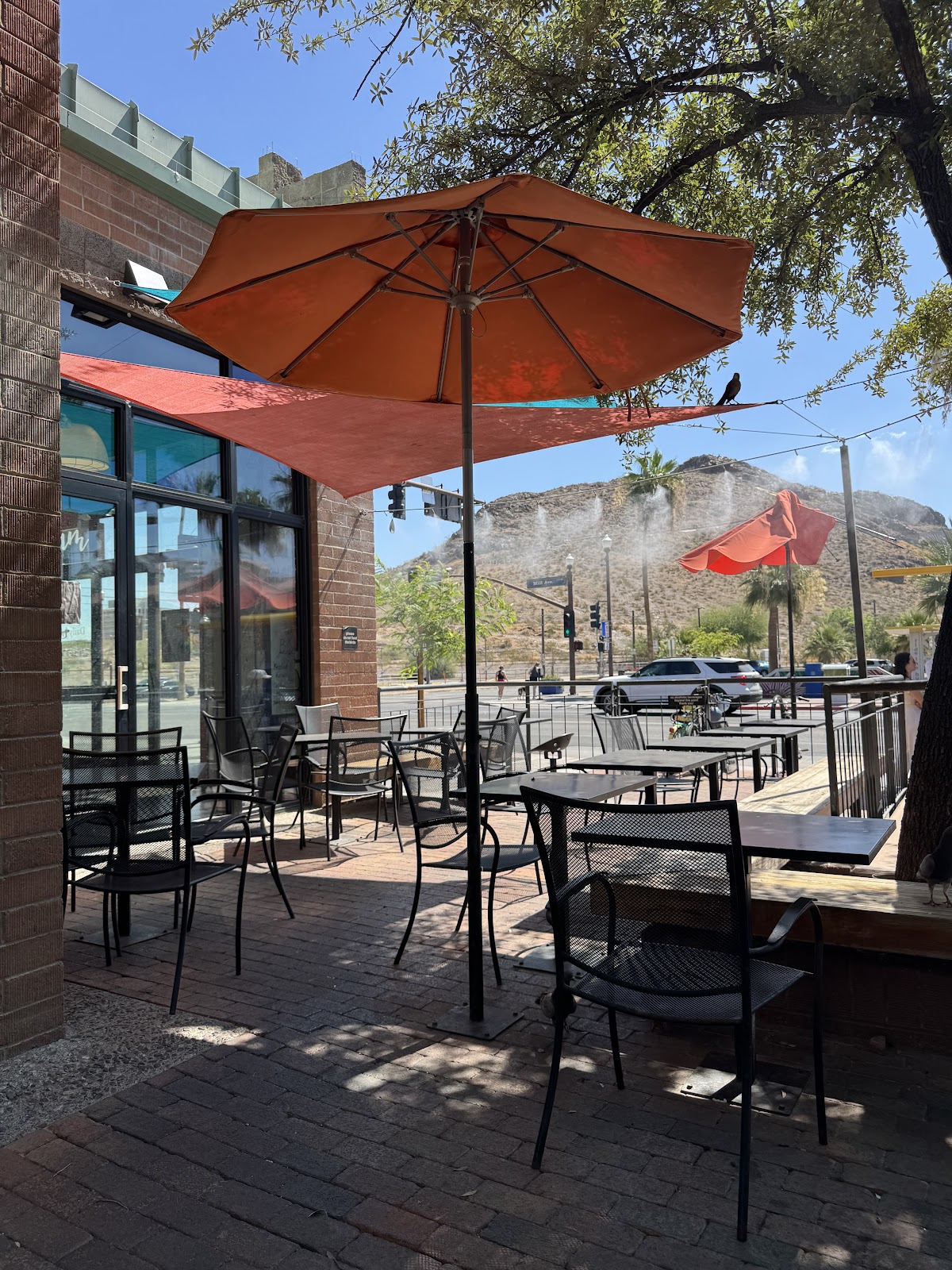 Daily Jam - Breakfast & Brunch Restaurant