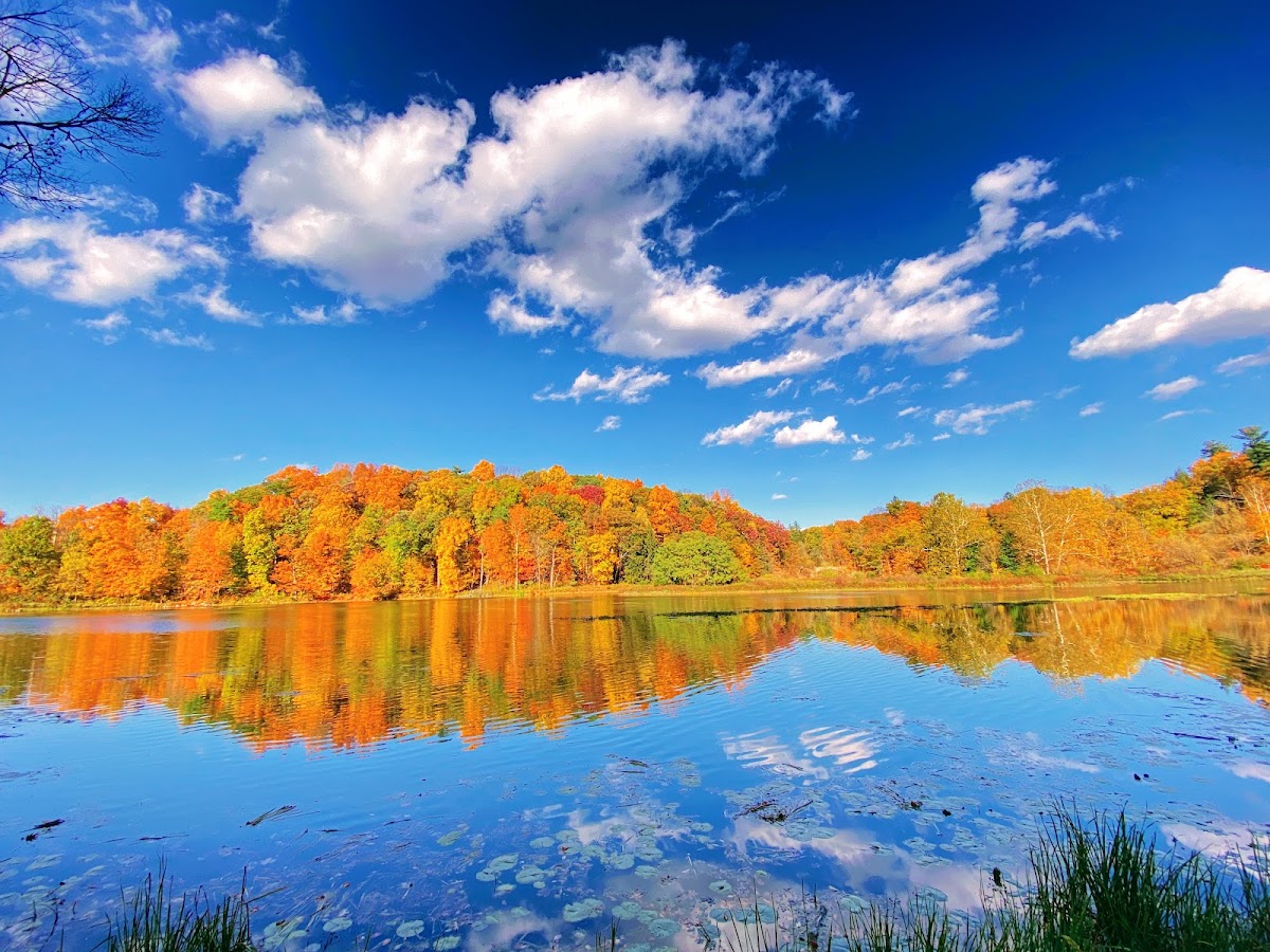 Beebe Lake