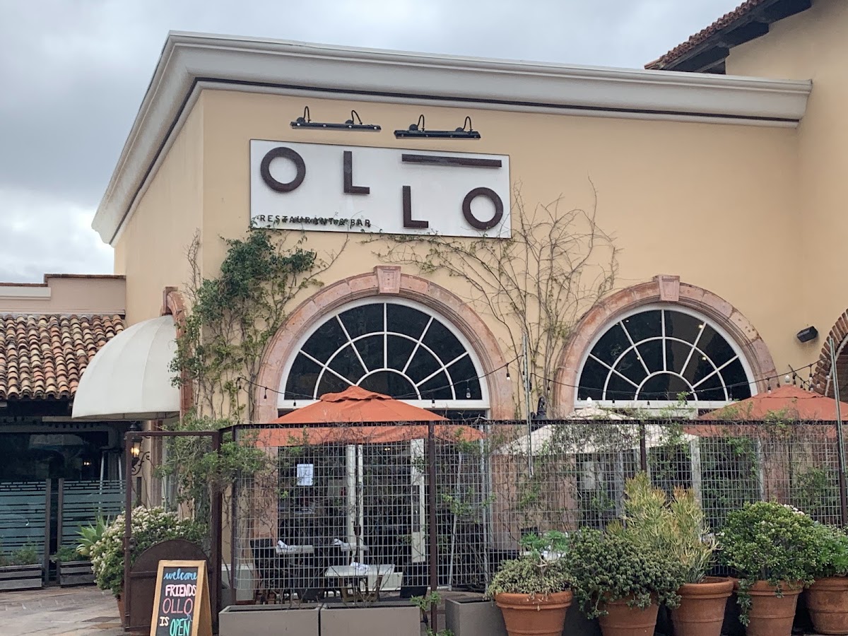 Ollo