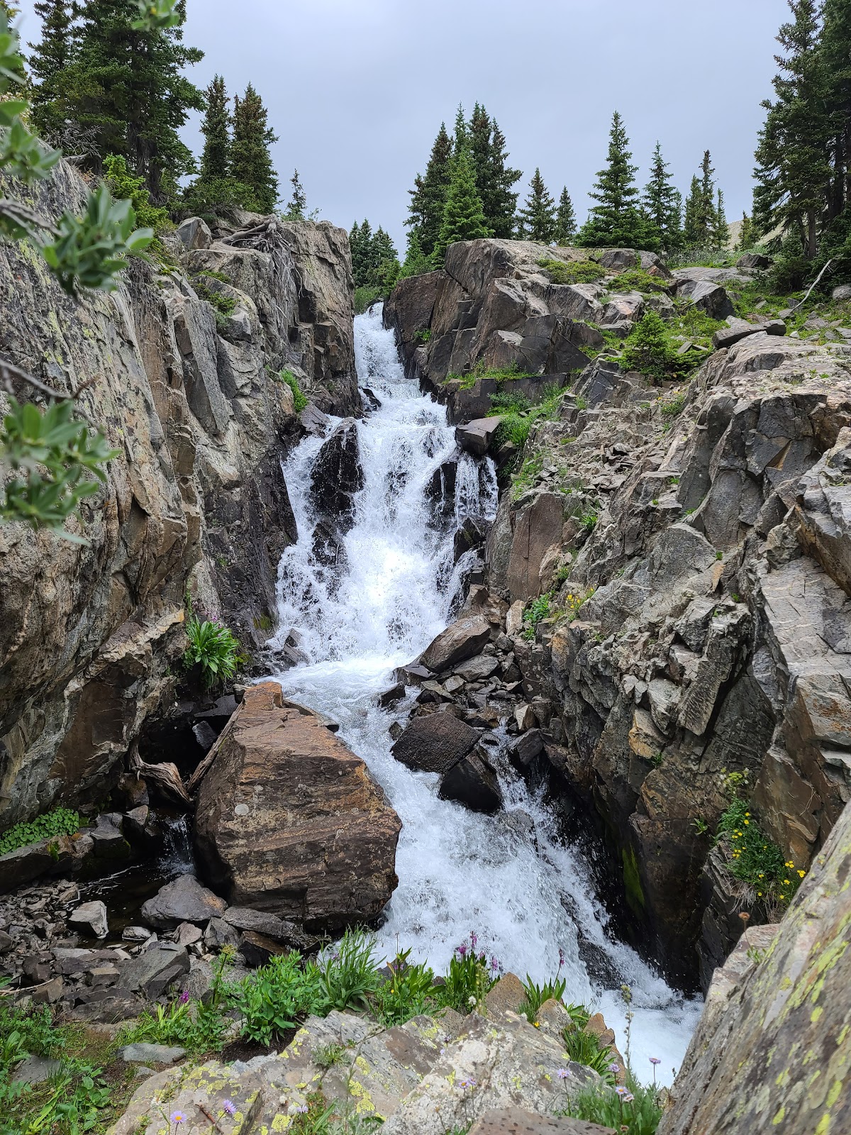 Spruce Creek Trail (Dillon Ranger District)