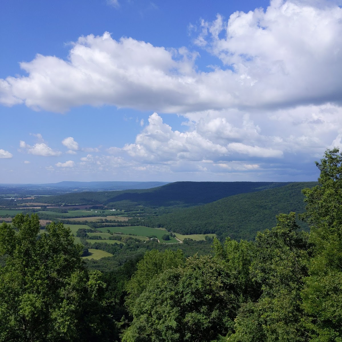 Green's View