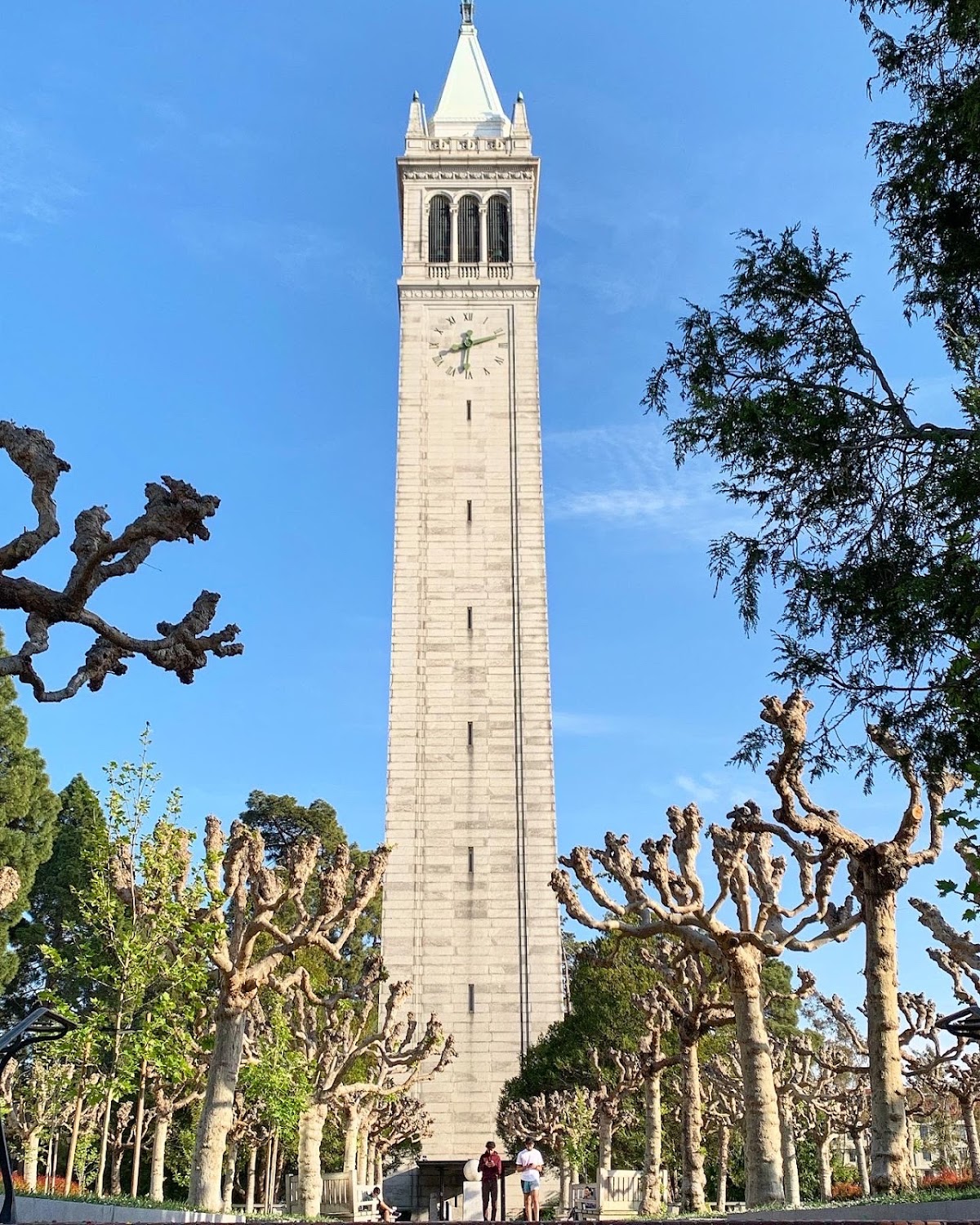 UC Berkeley Guide: Where to Eat, Drink & Stay (2026)