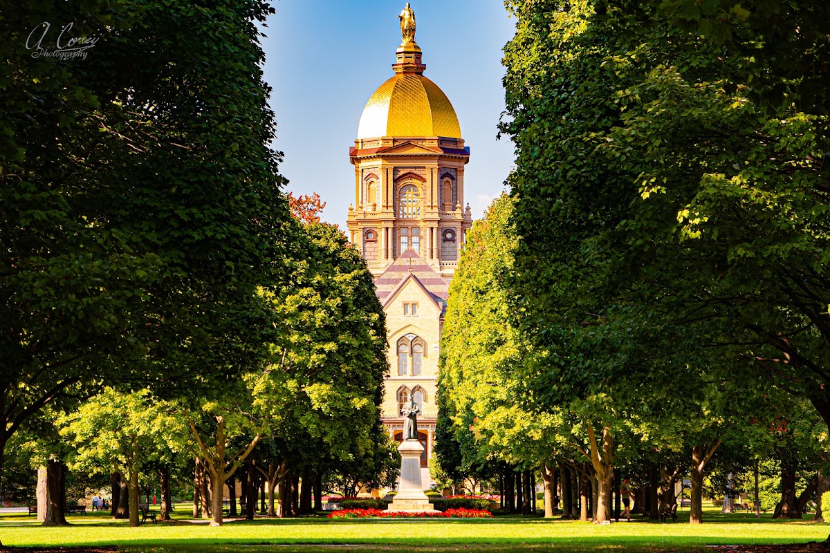 The Golden Dome