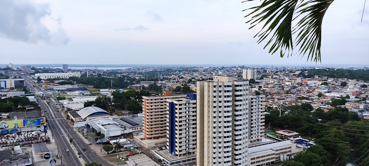 Predators of the Amazon