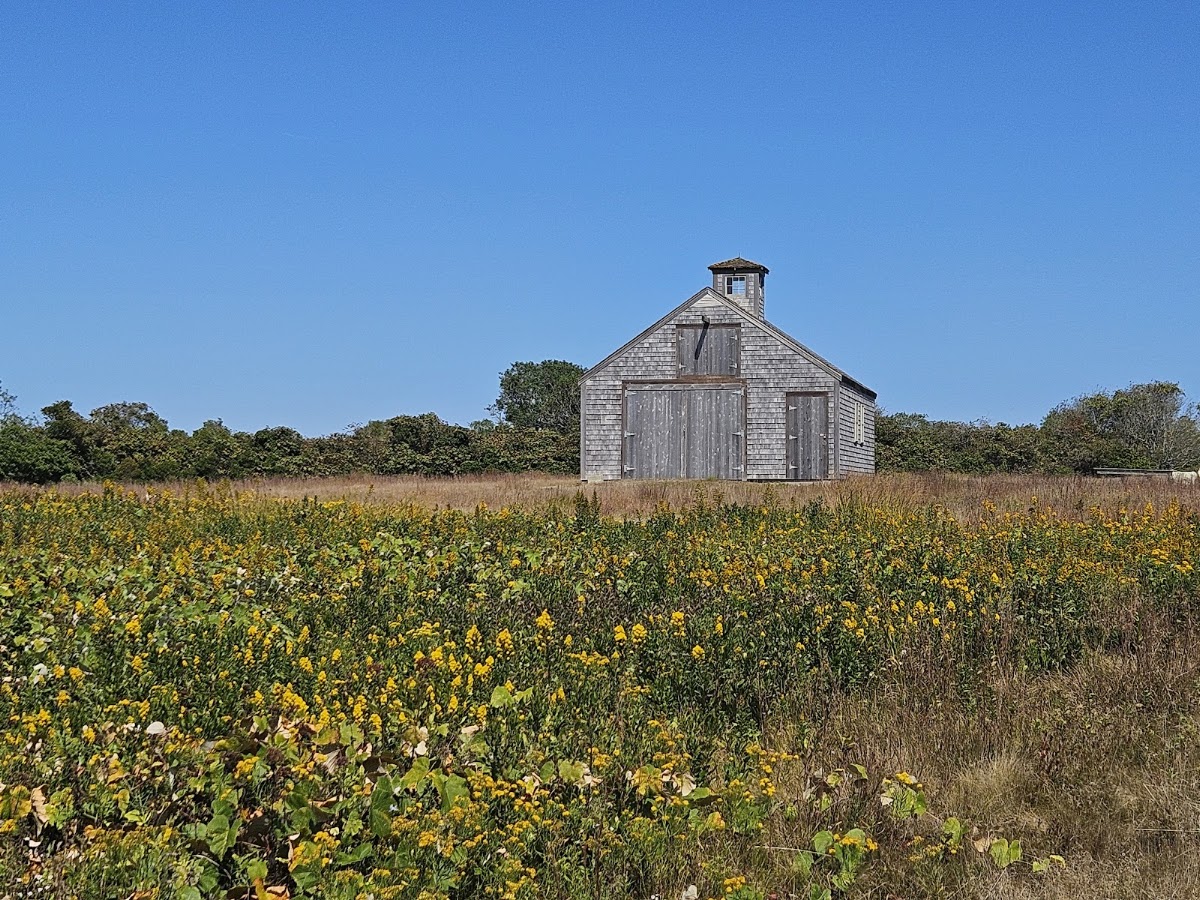 Sanford Farm
