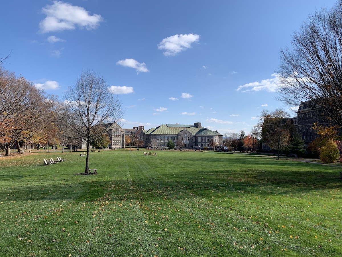 The Quad